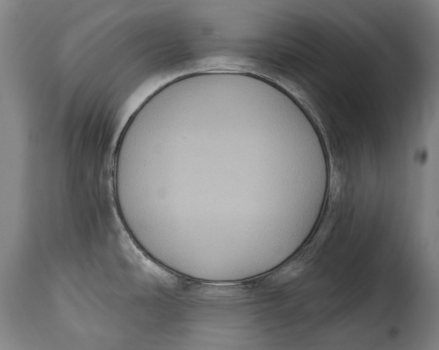 X0000114611486200911101141