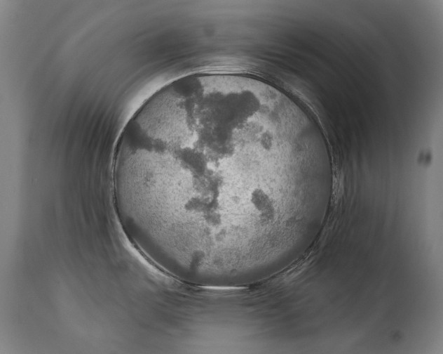 X0000114611487200911101141