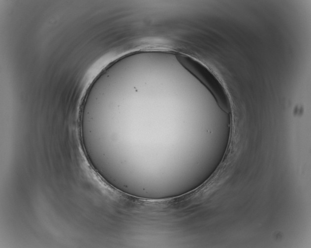 X0000114611488200911101141