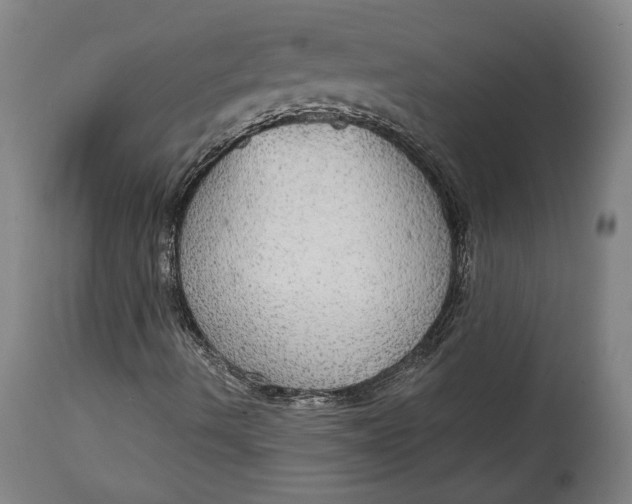 X0000114611490200911101140