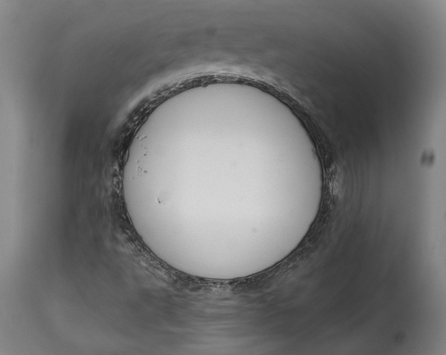 X0000114611495200911101140