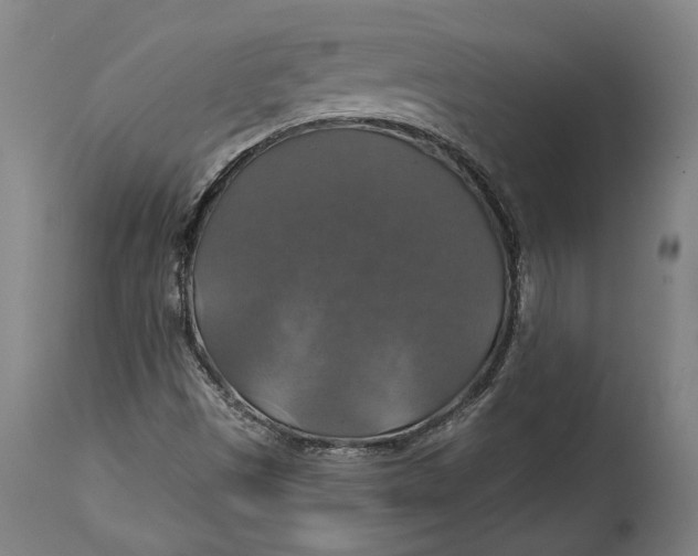 X0000114611497200911101140