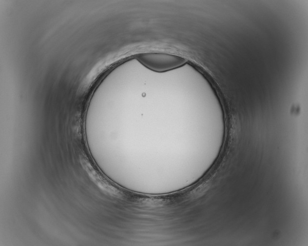 X0000114611499200911101140