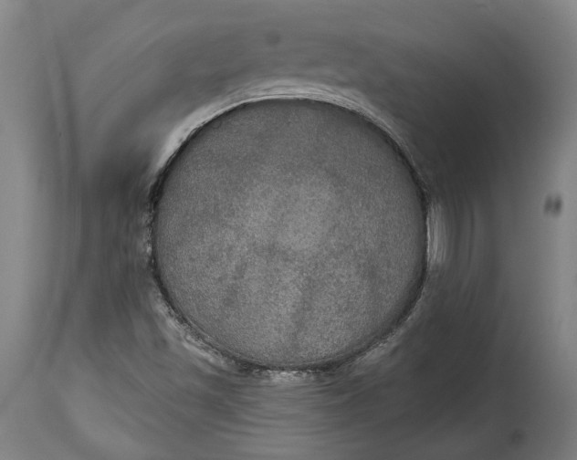 X0000114611501200911101140