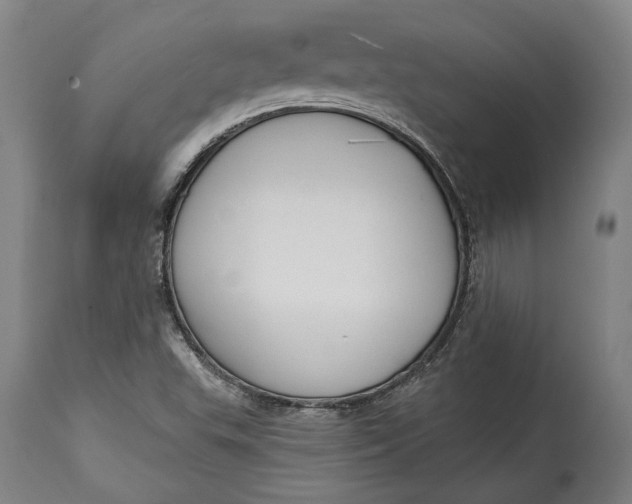 X0000114611503200911101140