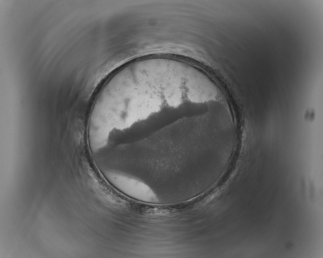 X0000114611505200911101140