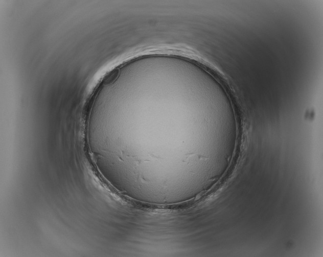 X0000114611506200911101140