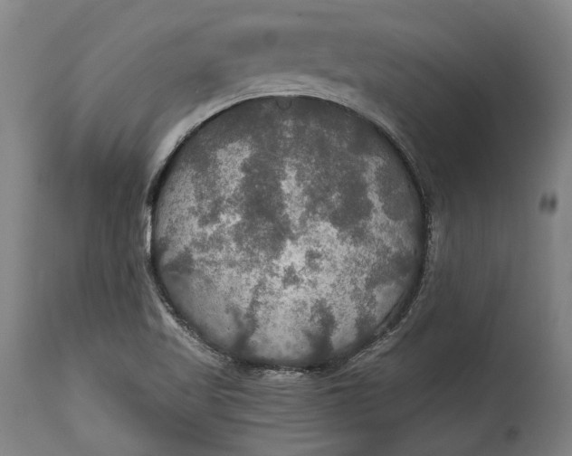 X0000114611509200911101140