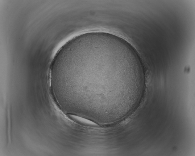 X0000114611510200911101140