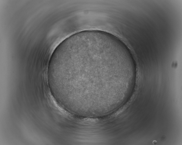 X0000114611513200911101140