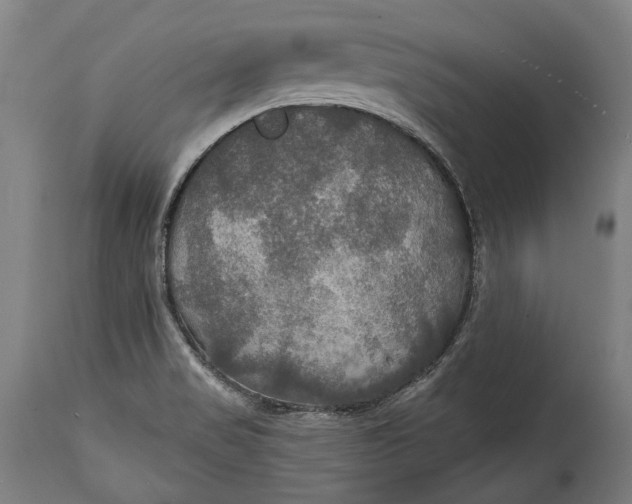 X0000114611517200911101140