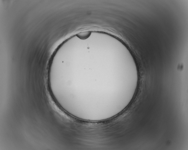 X0000114611518200911101140