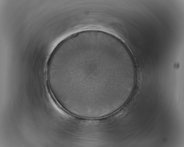 X0000114611519200911101140