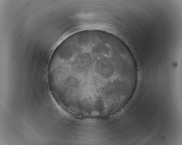 X0000114611521200911101140