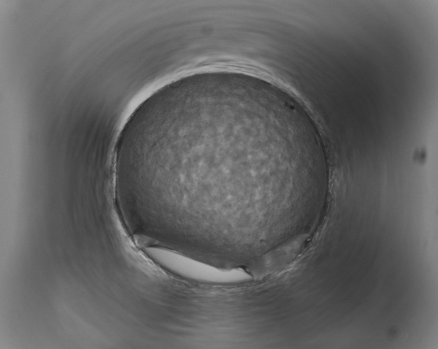 X0000114611522200911101140