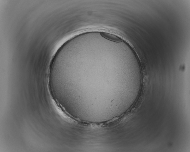 X0000114611523200911101140