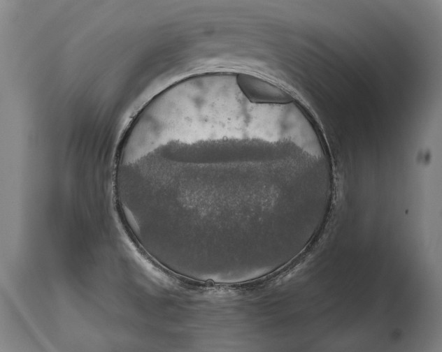 X0000114611525200911101140