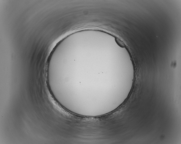 X0000114611526200911101140