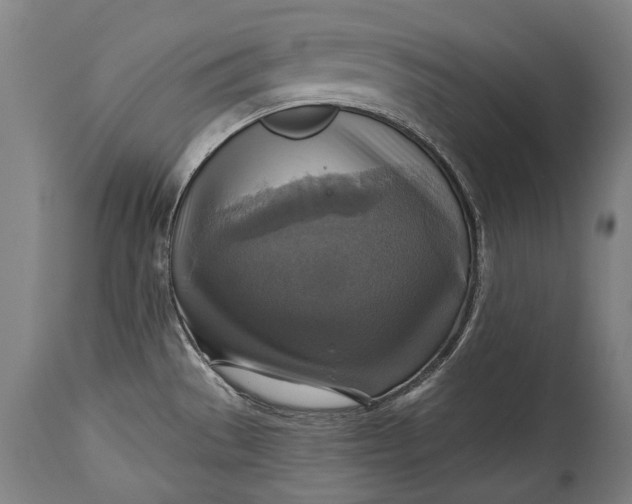 X0000114611529200911101140