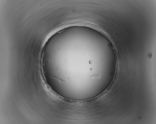 X0000114611530200911101140