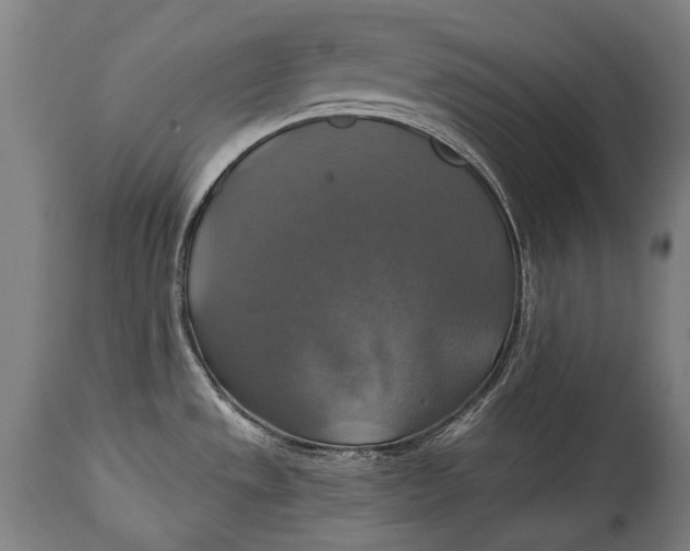 X0000114611533200911101140