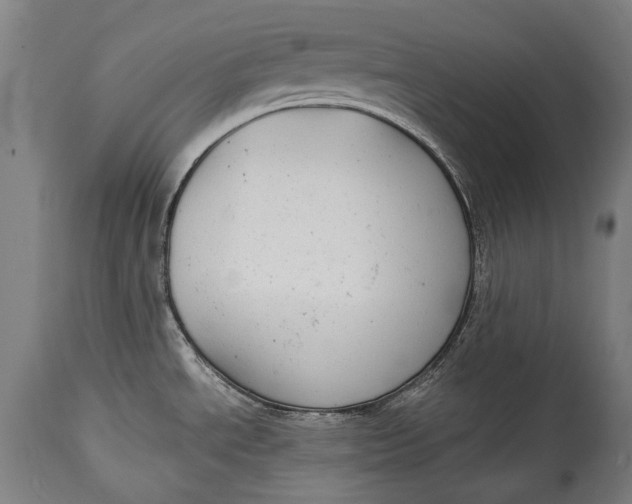 X0000114611534200911101140