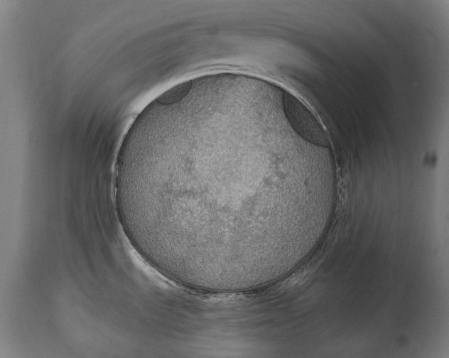 X0000114611535200911101140