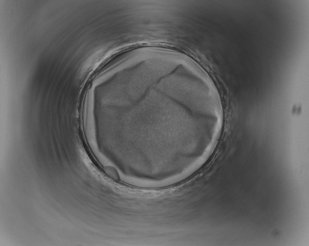 X0000114610002200911171045