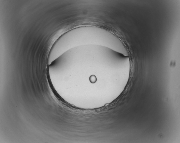 X0000114610003200911171045