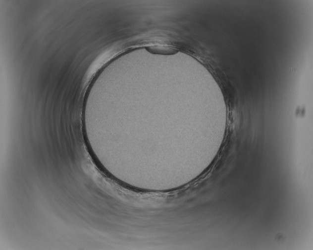 X0000114610004200911171045