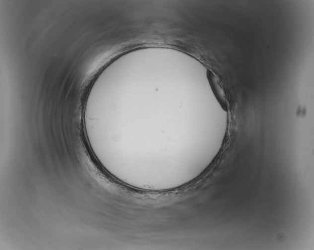 X0000114610005200911171045