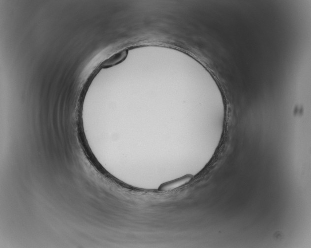 X0000114610007200911171045