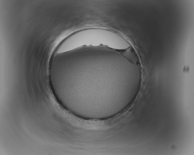 X0000114610008200911171045