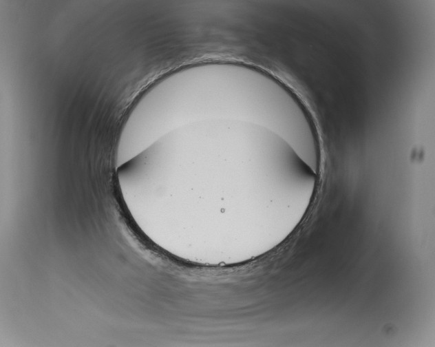 X0000114610009200911171045