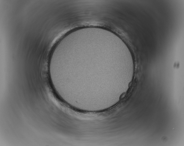 X0000114610012200911171045