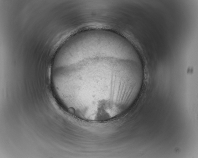 X0000114610014200911171045