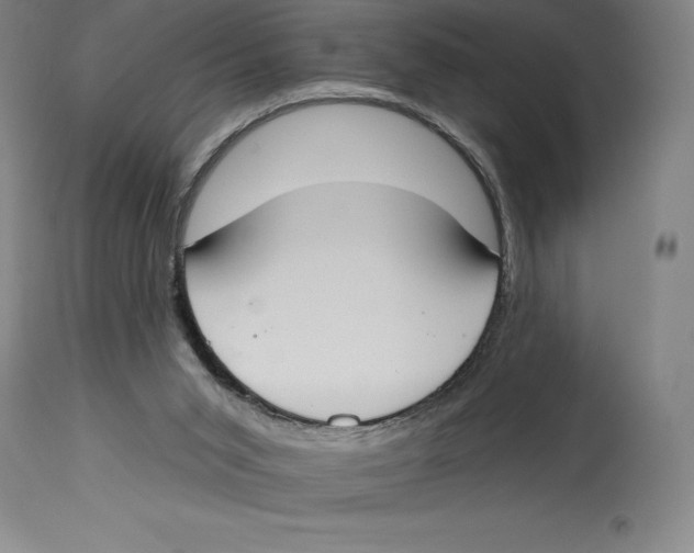 X0000114610015200911171045