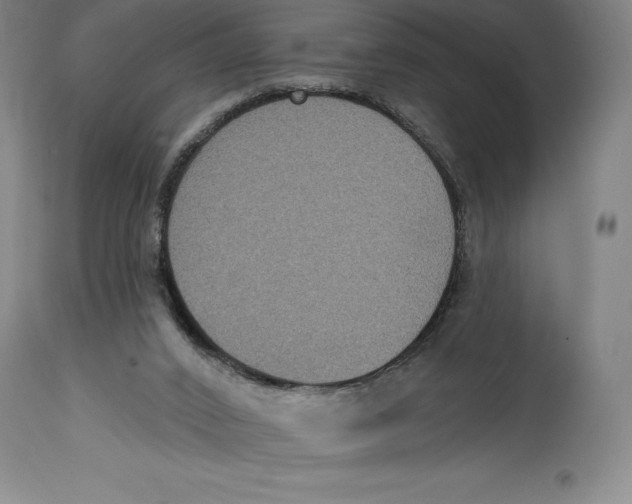 X0000114610016200911171045