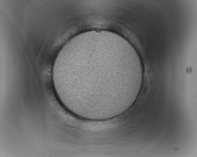 X0000114610017200911171045