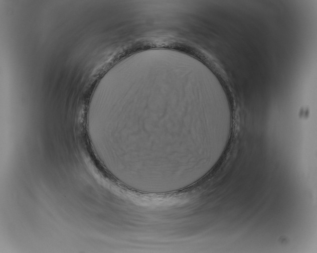 X0000114610018200911171045