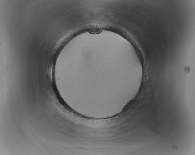 X0000114610019200911171045