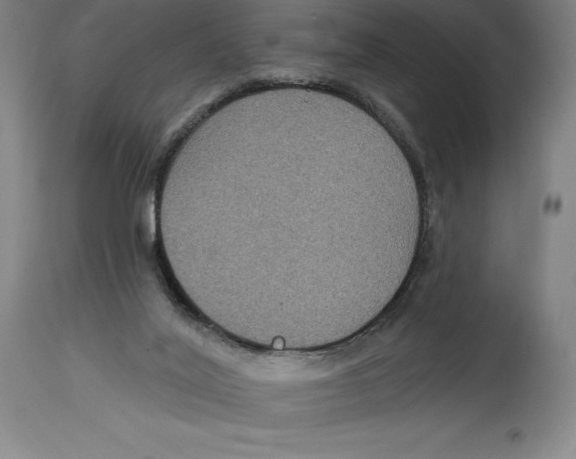 X0000114610020200911171045