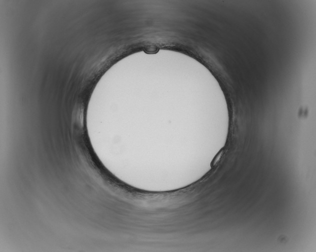 X0000114610021200911171045