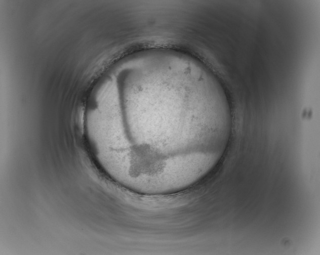 X0000114610022200911171045