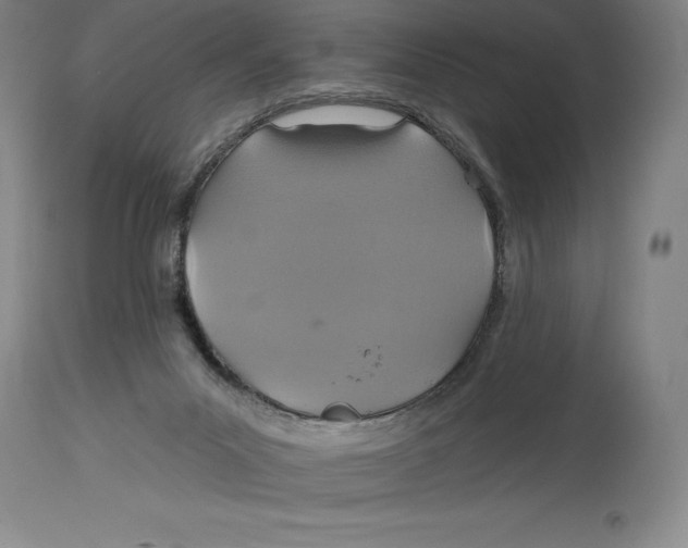 X0000114610023200911171045