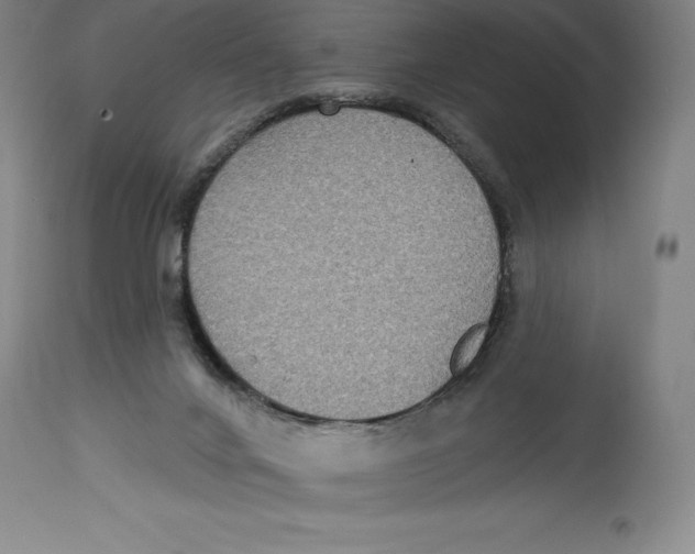 X0000114610024200911171045