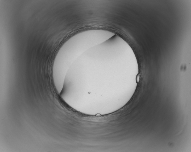 X0000114610025200911171045