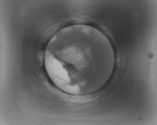 X0000114610026200911171045