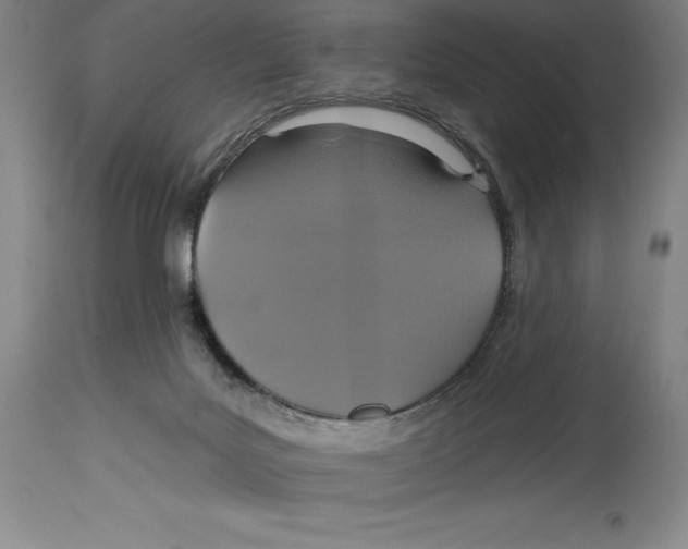 X0000114610027200911171045