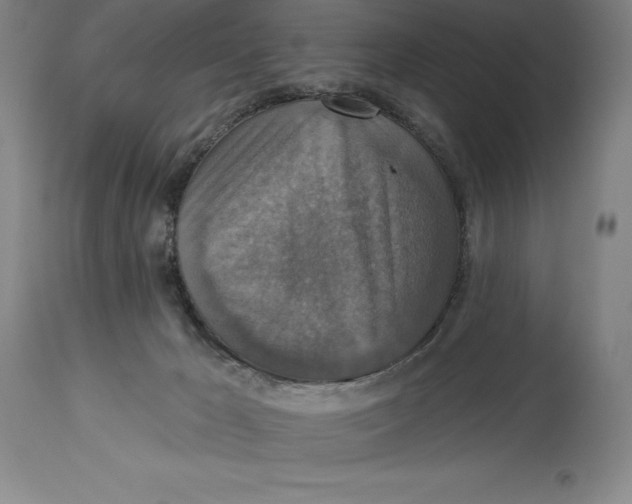 X0000114610029200911171045